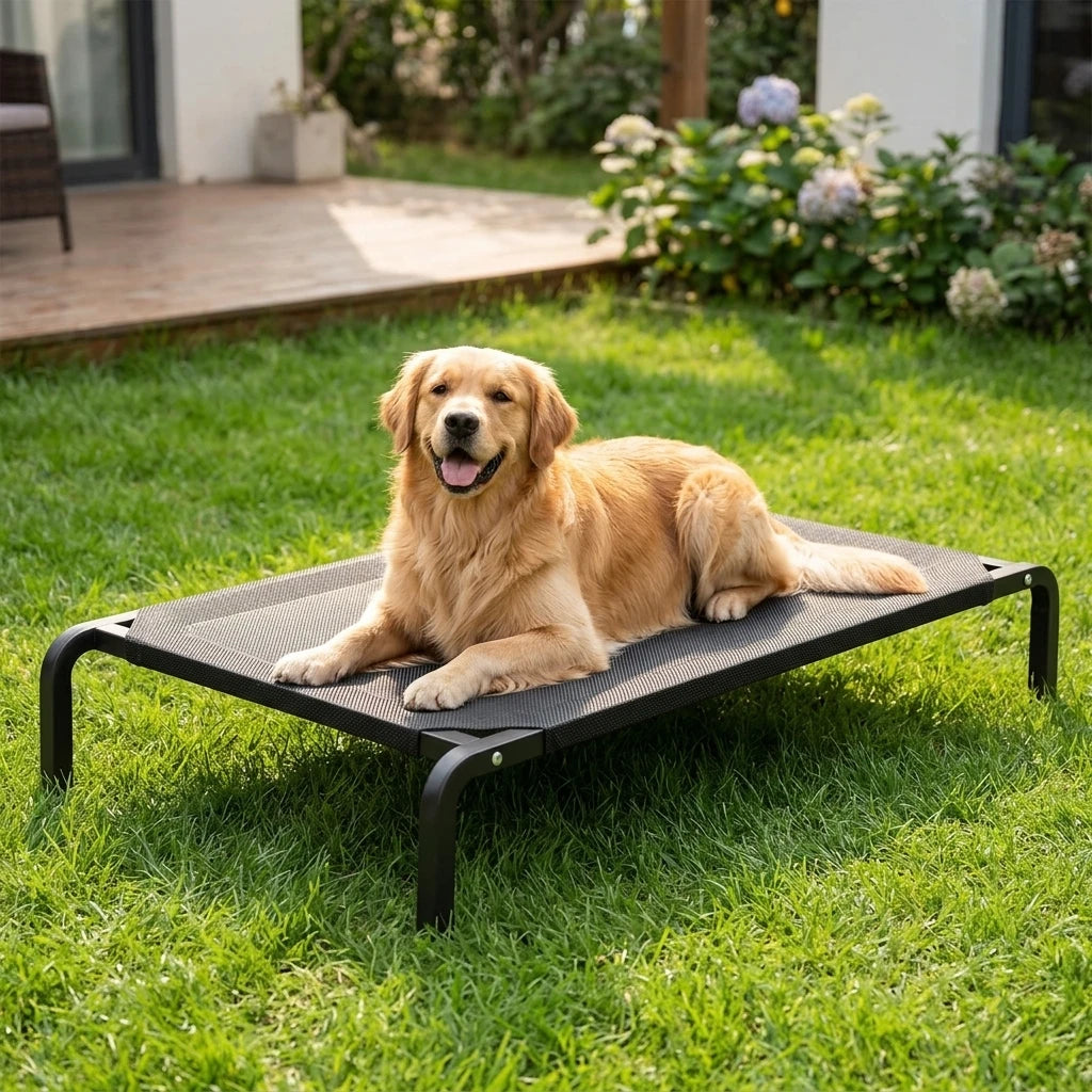 Golden Retriever πάνω στο LeLo Pet AirLounge®, υπερυψωμένο κρεβάτι σκύλου με αναπνεύσιμο ύφασμα mesh και μεταλλικό σκελετό, σε κήπο.