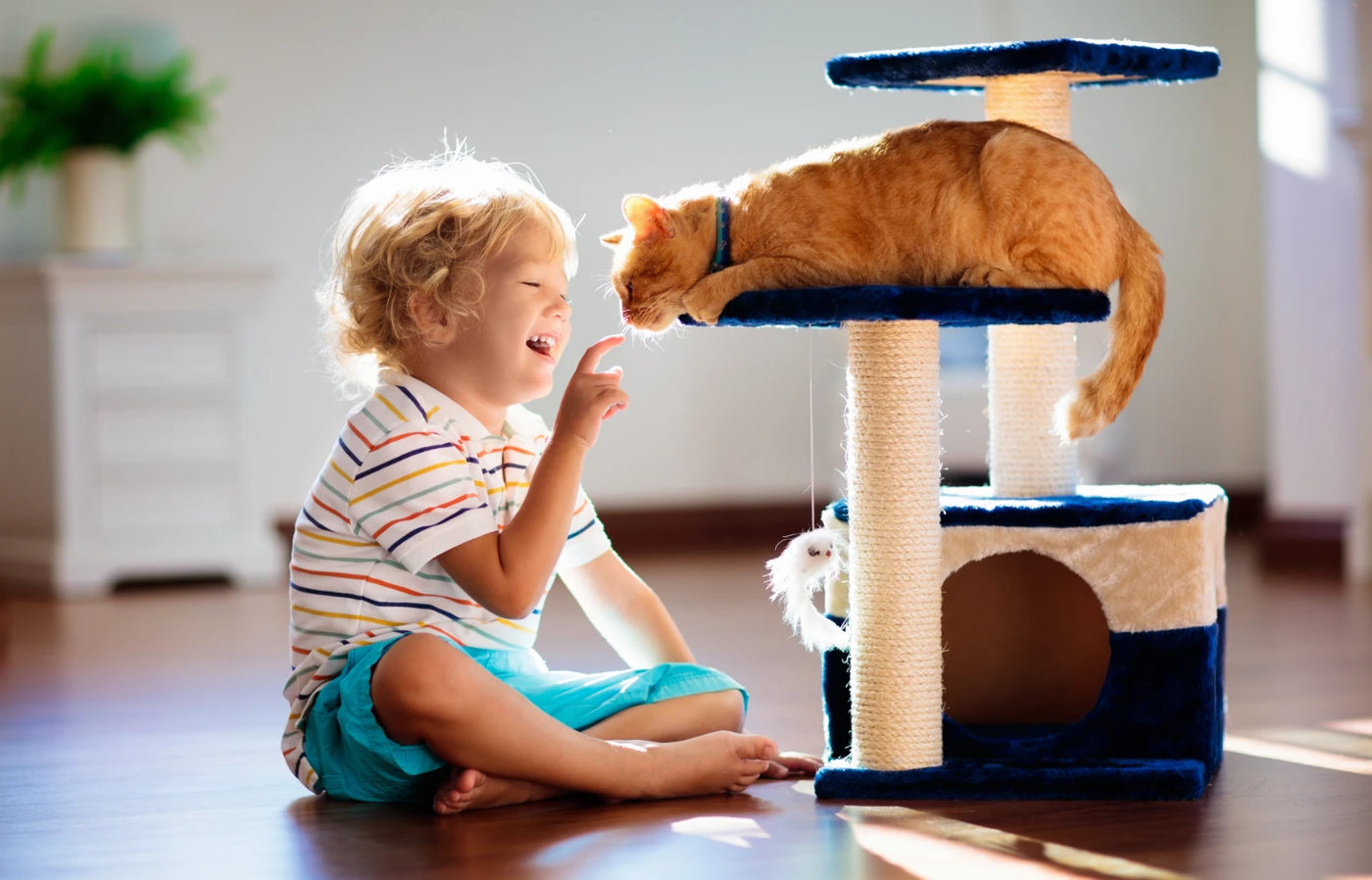 Μπάνερ Pet & Kids Essentials – παιδί και γάτα σε παιχνίδι δίπλα σε σπιτάκι γάτας