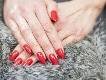 Bliss Cosmetics - Ρολό 500 φόρμες για τεχνητά νύχια - BLC31598 - wox.gr