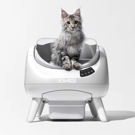 CATLINK αυτόματη λεκάνη γάτας κατάλληλη για μεγάλες γάτες Maine Coon
