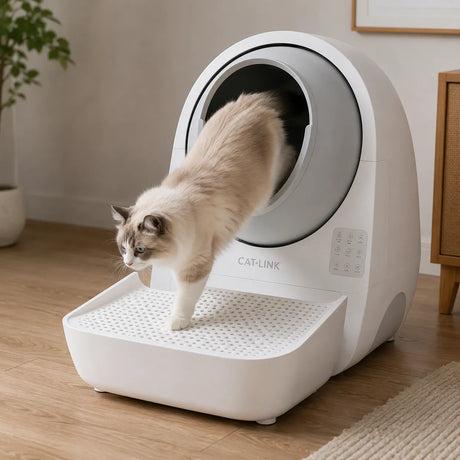 CATLINK Pro-X Luxury σκαλοπάτι πρόσβασης σε καθημερινή χρήση με γάτα που βγαίνει από αυτόματη τουαλέτα γάτας CATLINK, βοηθώντας στη συγκράτηση της άμμου και στη διατήρηση καθαρότερου χώρου στο wox.gr