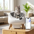 CATLINK έξυπνη αυτόματη λεκάνη γάτας σε πολυτελές περιβάλλον με εφαρμογή κινητού και Maine Coon γάτα