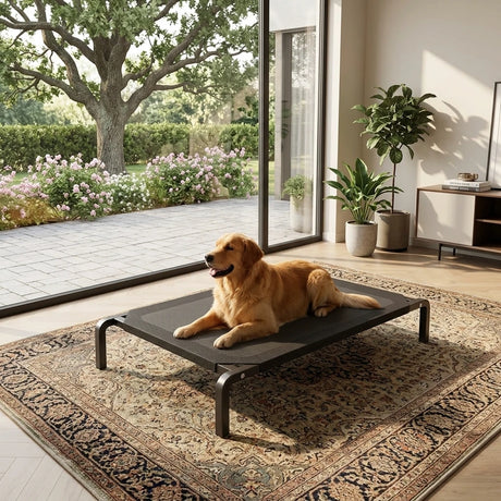 Golden Retriever ξεκουράζεται στο LeLo Pet AirLounge®, υπερυψωμένο κρεβάτι σκύλου με αναπνεύσιμο ύφασμα mesh και ανθεκτικό μεταλλικό σκελετό, σε μοντέρνο σαλόνι με θέα στον κήπο.
