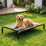 Golden Retriever πάνω στο LeLo Pet AirLounge®, υπερυψωμένο κρεβάτι σκύλου με αναπνεύσιμο ύφασμα mesh και μεταλλικό σκελετό, σε κήπο.