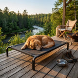 Golden Retriever ξεκουράζεται στο LeLo Pet AirLounge®, υπερυψωμένο κρεβάτι σκύλου με αναπνεύσιμο ύφασμα mesh και μεταλλικό σκελετό, σε ξύλινη βεράντα δίπλα στη φύση.
