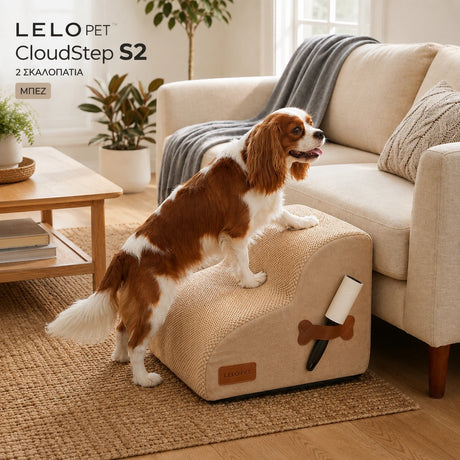 LeLo Pet CloudStep S2 μπεζ σκαλοπάτια σκύλου 2 επιπέδων σε lifestyle χρήση, με σκύλο να ανεβαίνει με σταδιακά πατήματα προς τον καναπέ