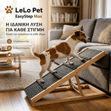 LeLo Pet EasyStep Max ρυθμιζόμενη ξύλινη ράμπα σκύλου σε καθημερινή χρήση για ασφαλέστερη πρόσβαση στον καναπέ