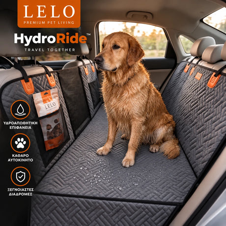 LeLo Pet HydroRide Γκρι Πέρλα με βρεγμένο Golden Retriever, Hard Bottom και σταγόνες νερού στην υδροαπωθητική επιφάνεια μετά τη βόλτα