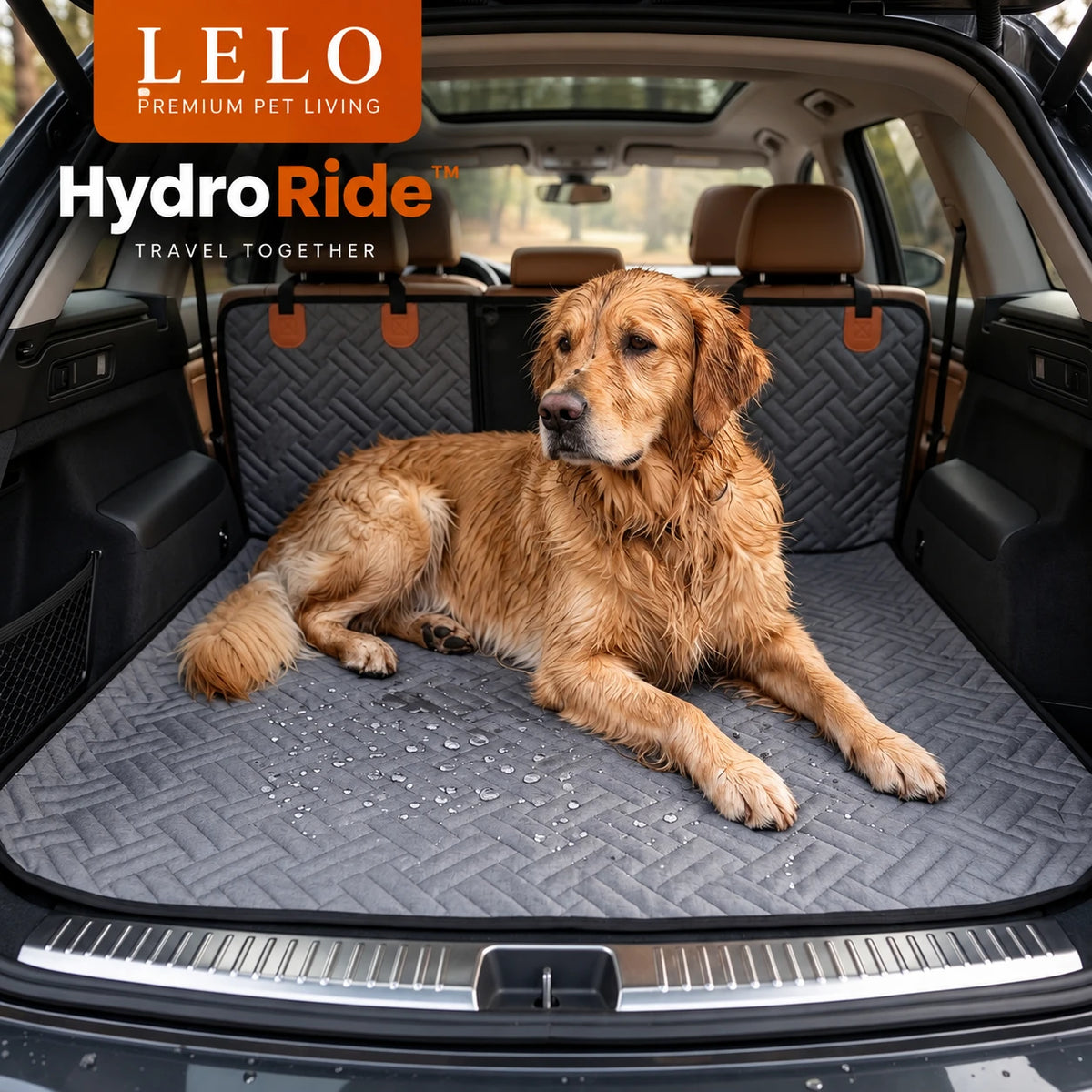 LeLo Pet HydroRide Γκρι Πέρλα με βρεγμένο Golden Retriever και σταγόνες νερού πάνω στην υδροαπωθητική επιφάνεια