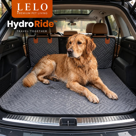 LeLo Pet HydroRide Γκρι Πέρλα με βρεγμένο Golden Retriever και σταγόνες νερού πάνω στην υδροαπωθητική επιφάνεια
