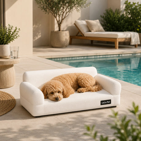 LeLo Pet PawLounge® Small λευκός καναπές κατοικιδίου σε σκεπασμένη βεράντα δίπλα σε πισίνα για άνετη ξεκούραση μικρόσωμου σκύλου στο wox.gr