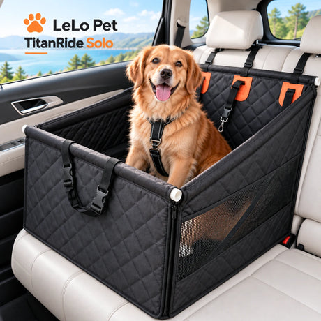 LeLo Pet TitanRide Solo premium κάλυμμα μίας πίσω θέσης αυτοκινήτου με σκληρό πάτο και πλάτη, ενισχυμένο πλαίσιο, mesh πλευρές και μεσαίου μεγέθους σκύλο στο πίσω κάθισμα