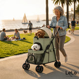 LeLo Pet UrbanCruise® premium διώροφο καρότσι κατοικιδίων Sage Green με cream επάνω carrier σε παραθαλάσσια βόλτα, με δύο μικρούς σκύλους, μεγάλους τροχούς και αποσπώμενο carrier στο wox.gr